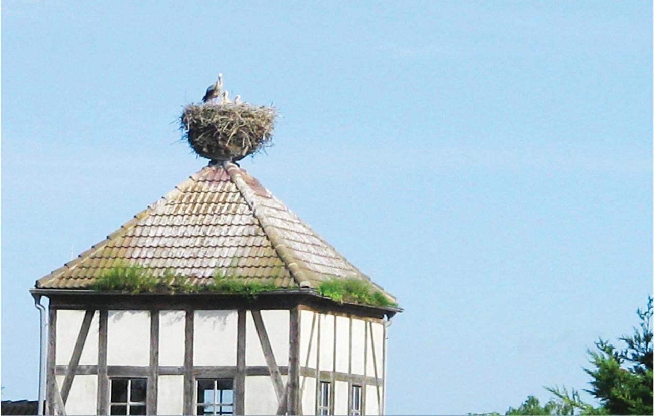 Herrenhaus Luebbenow 외부 사진